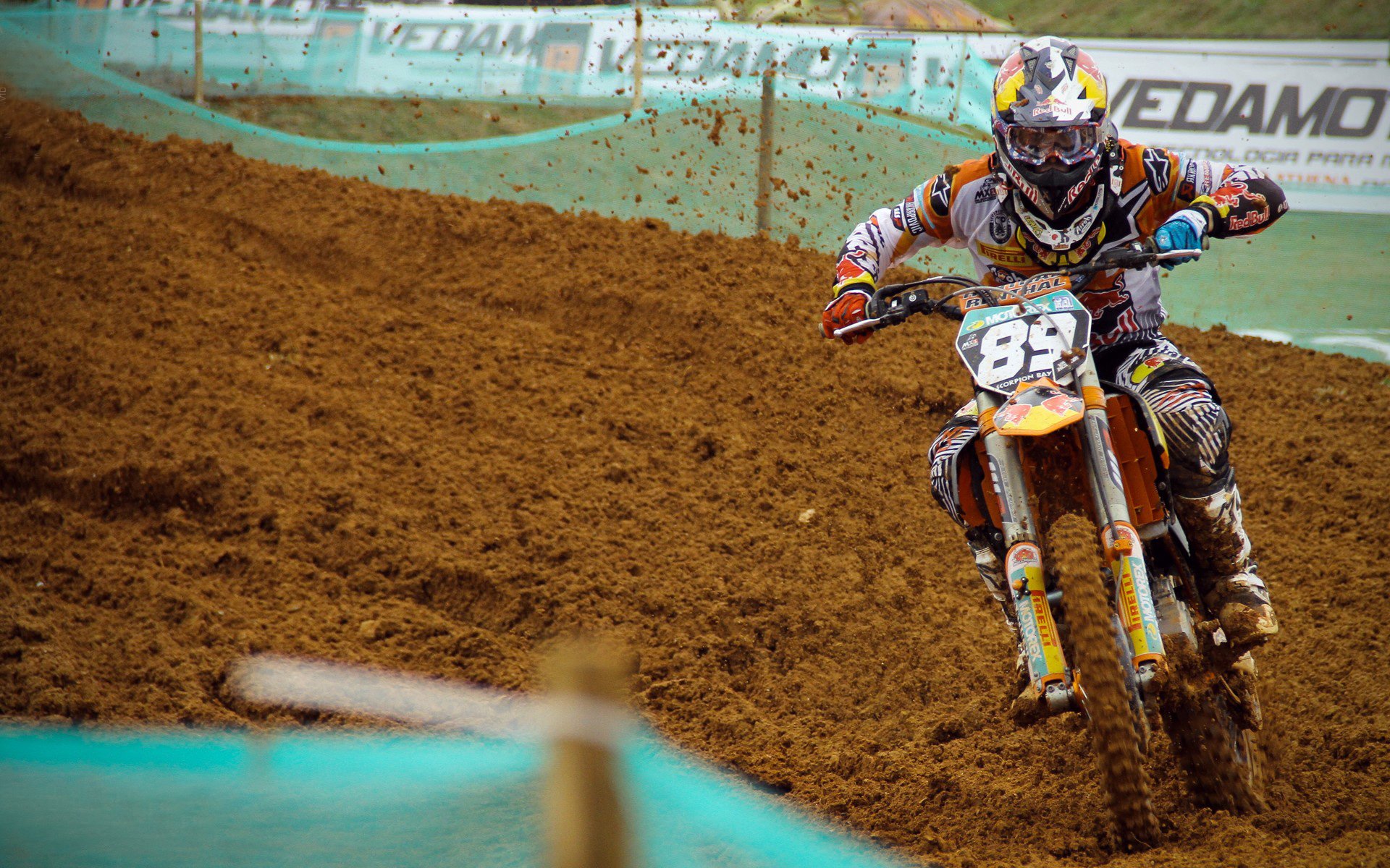 森林狼的北境突围，团队篮球击败天赋猛龙